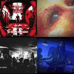 Thrash Metal    v39