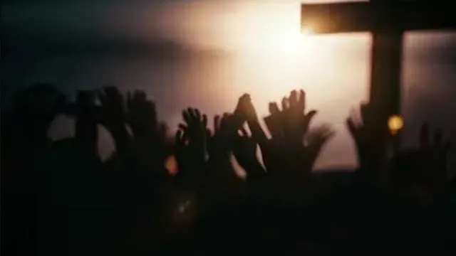 Collateral Detriment - Brainwash