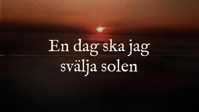 Hild - En dag ska jag svälja solen