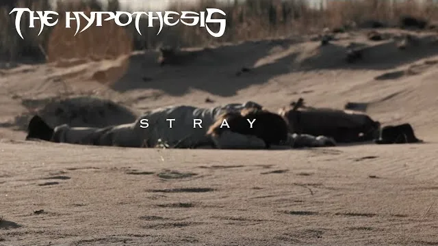 The Hypothesis - Stray