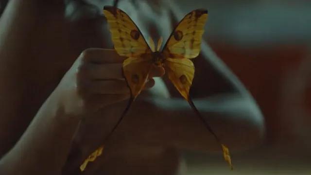 The Plot In You - Spare Me
