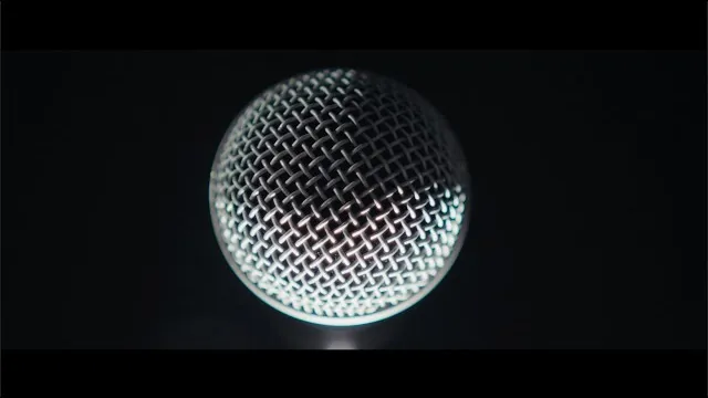 Schöngeist - FAKE NEWS