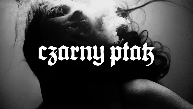 Dom Zły - Czarny Ptak