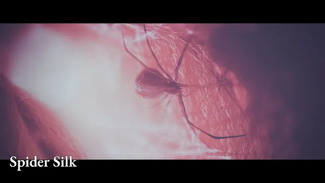 Nightwish - Spider Silk
