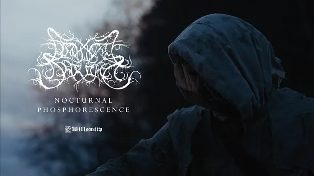 Liminal Shroud - Nocturnal Phosphorescence
