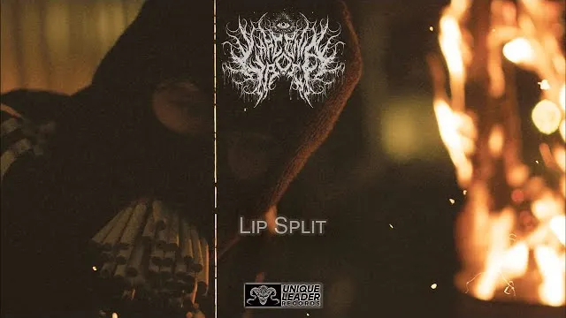 Larcenia Roe - Lip Split