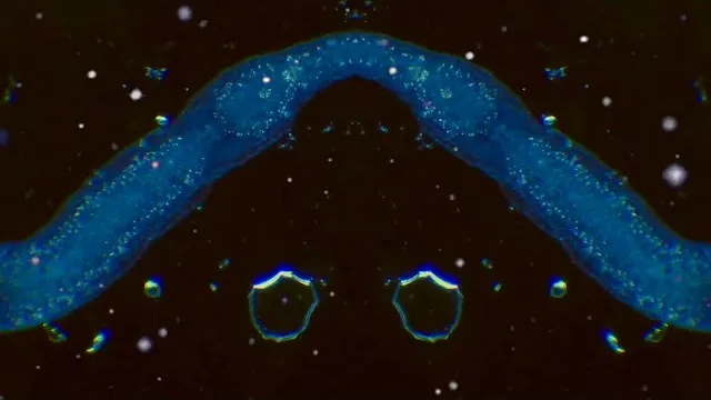 Dead Meadow - Voyager to Voyager