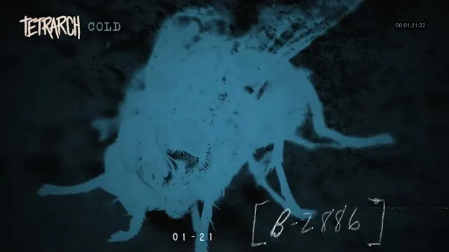Tetrarch - Cold