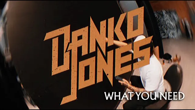 Danko Jones - What You Need