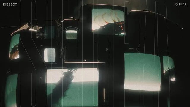 DIESECT - SHURA