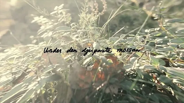 Svarta Havet - HÄRLIG ÄR JORDEN