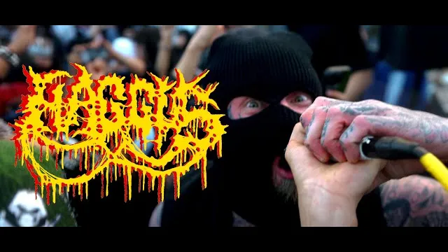 Haggus - Rotting Off / Do You Love Mincecore?