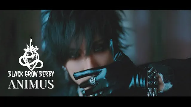 BLACK GROW BERRY - ANIMUS