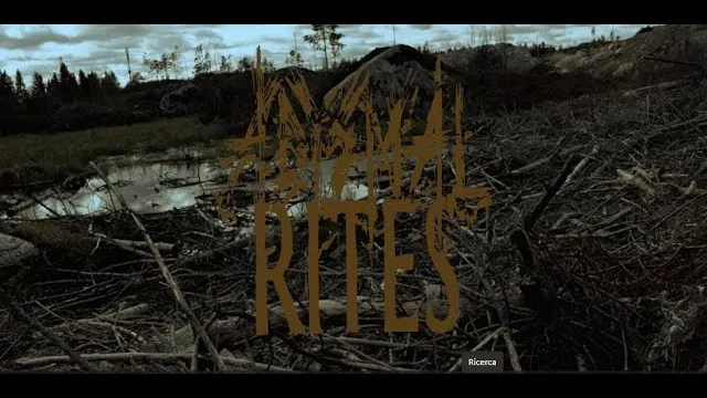 Abysmal Rites - The Zone